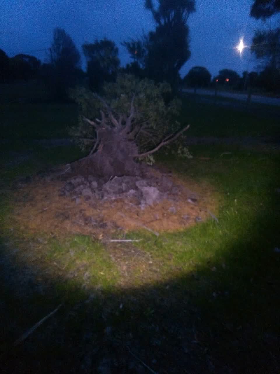 The photograph attached to this parks report