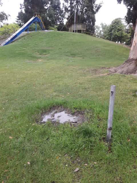 Parks, a report photo