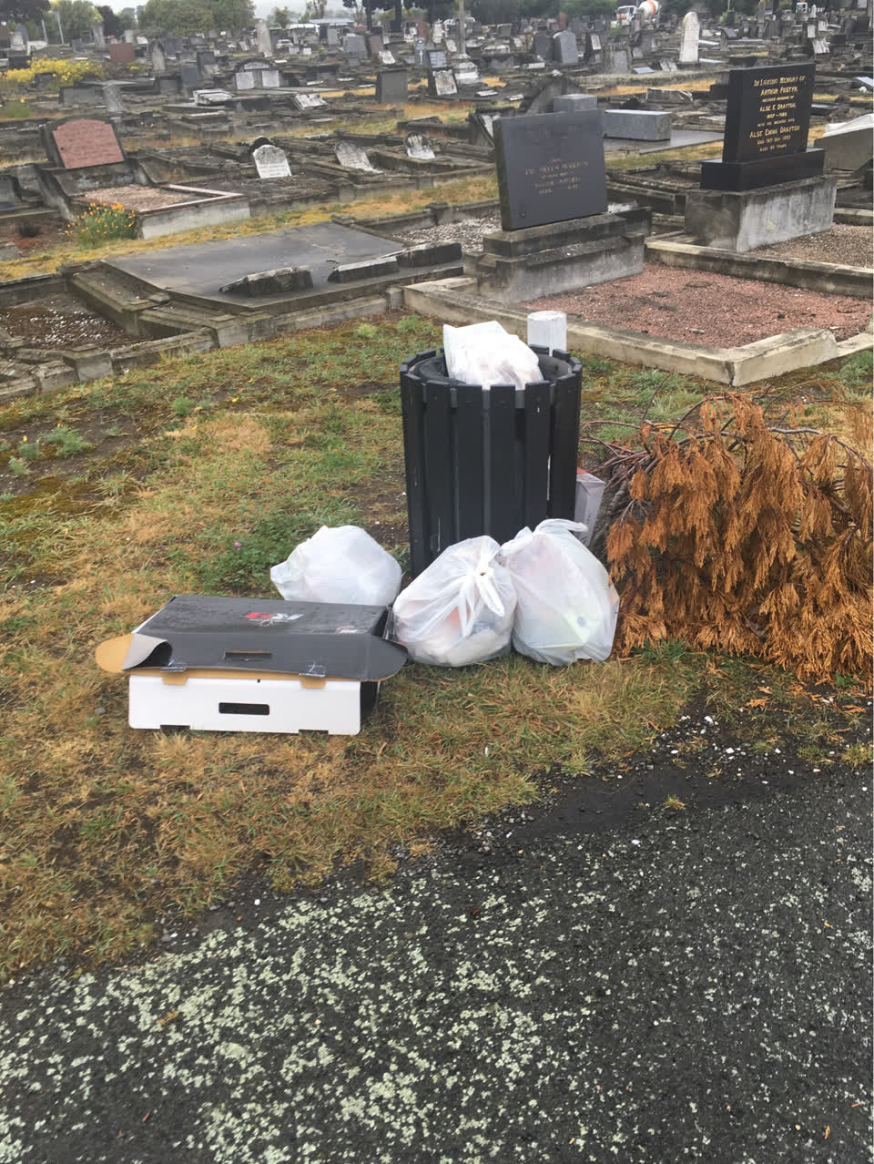 The photograph attached to this parks report