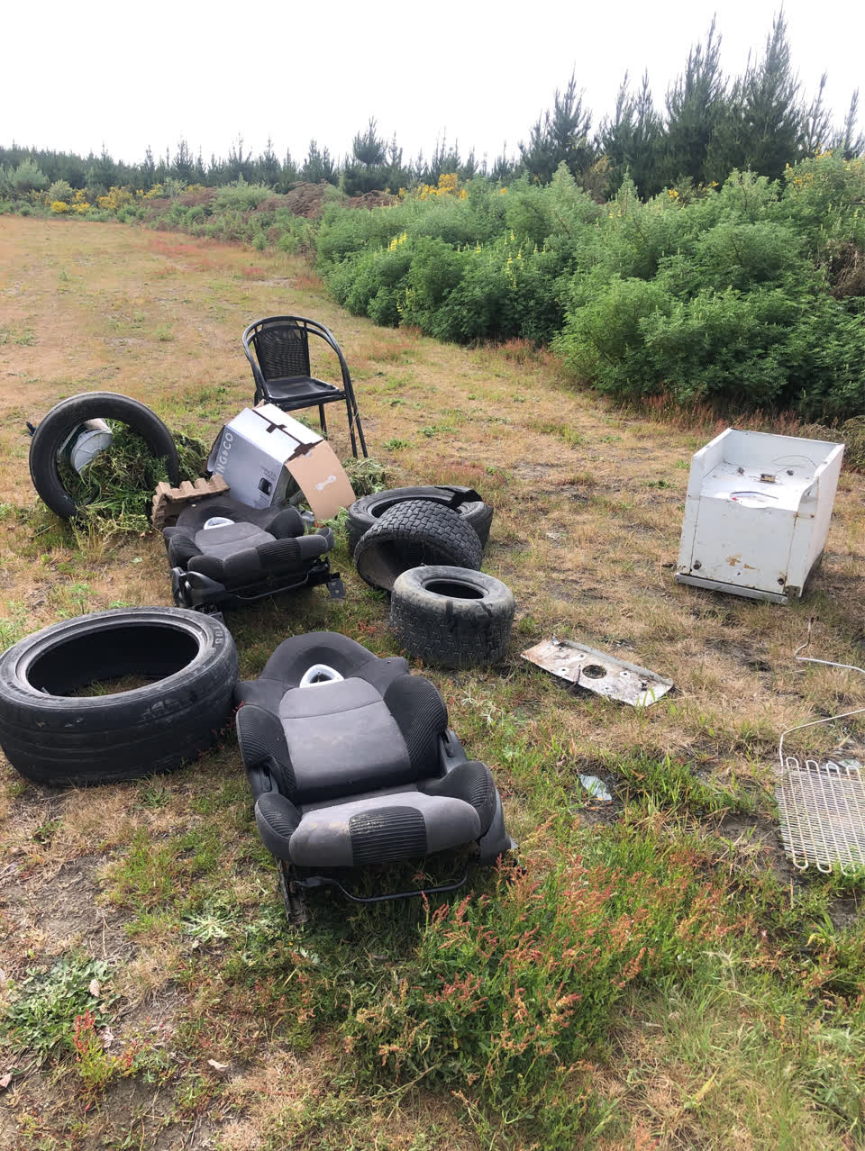 The photograph attached to this rubbish/recycling report