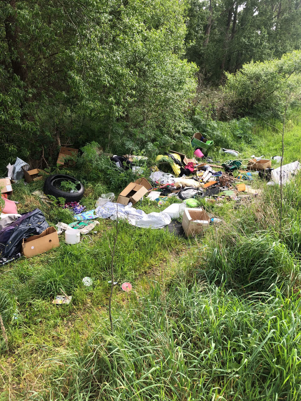 The photograph attached to this rubbish/recycling report
