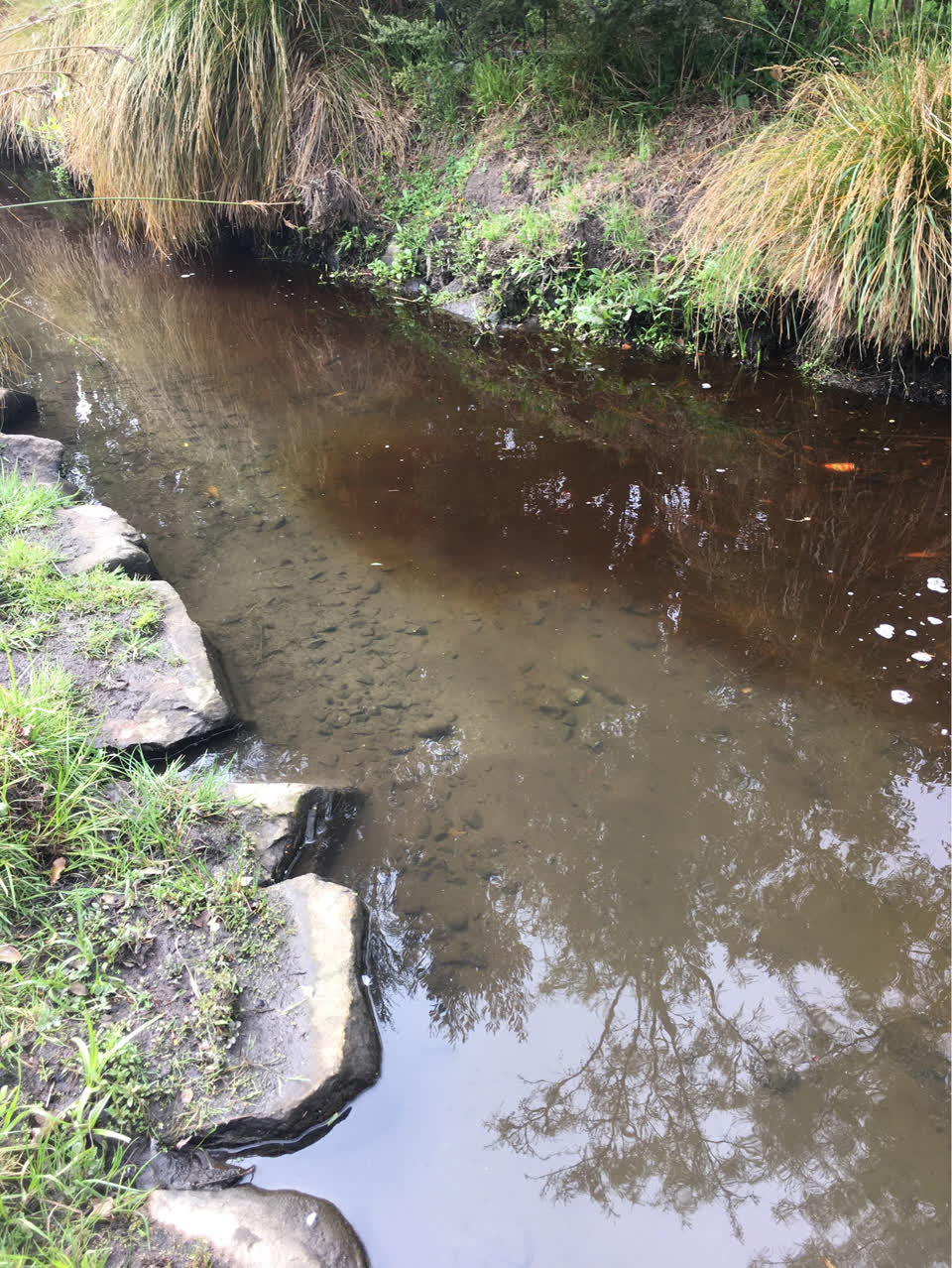 The photograph attached to this wastewater/stormwater report