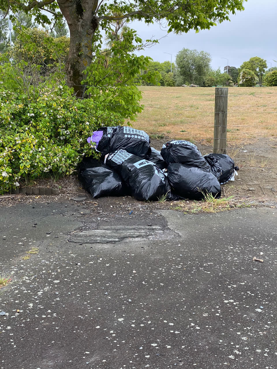 The photograph attached to this rubbish/recycling report