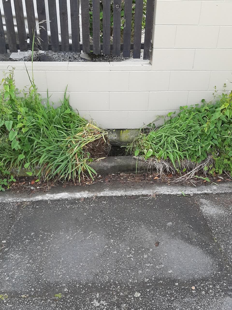 The photograph attached to this water supply report