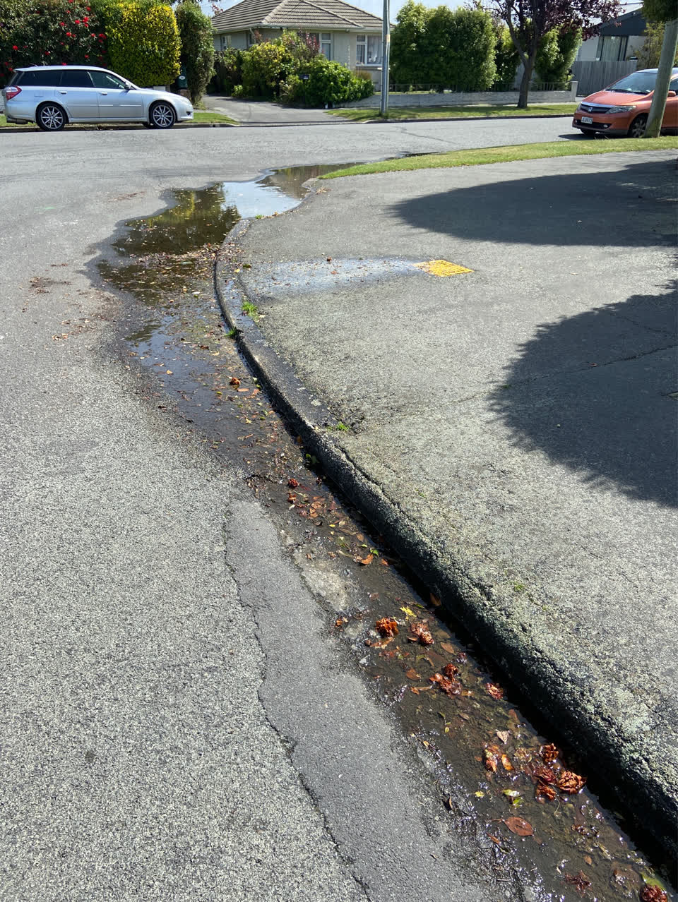 The photograph attached to this water leak report