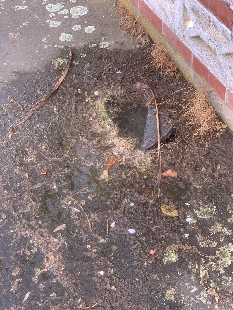 The photograph attached to this water leak report