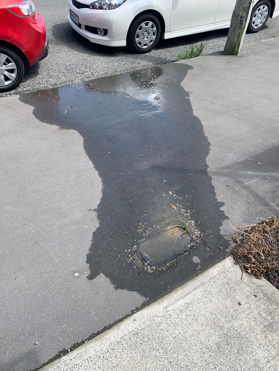 The photograph attached to this water supply report