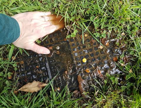 Water Leak, a report photo