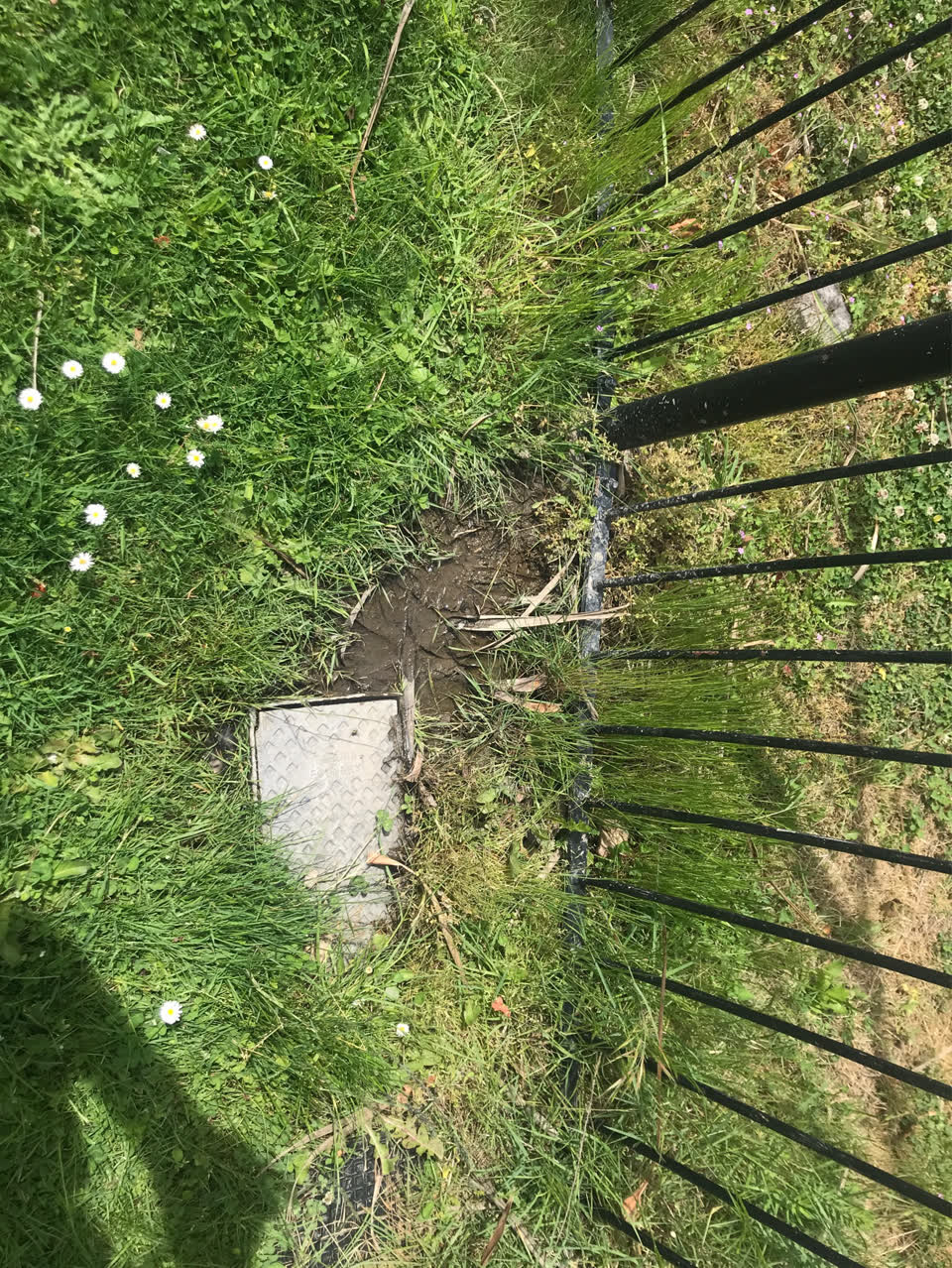 The photograph attached to this water supply report