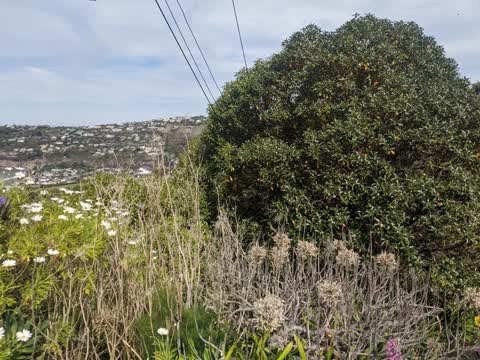 Parks, a report photo