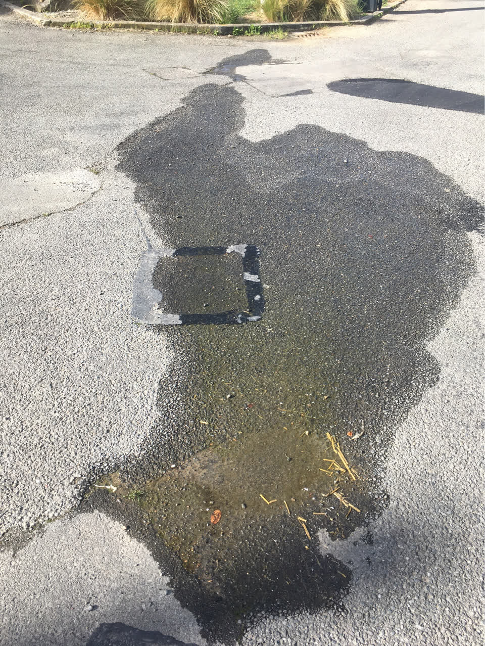 The photograph attached to this water leak report