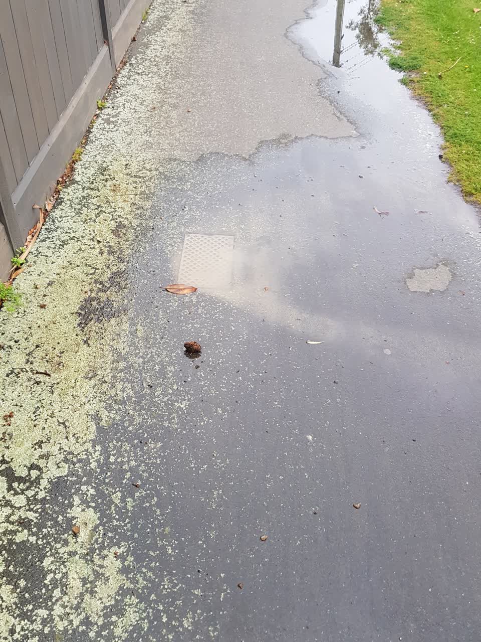 The photograph attached to this water leak report