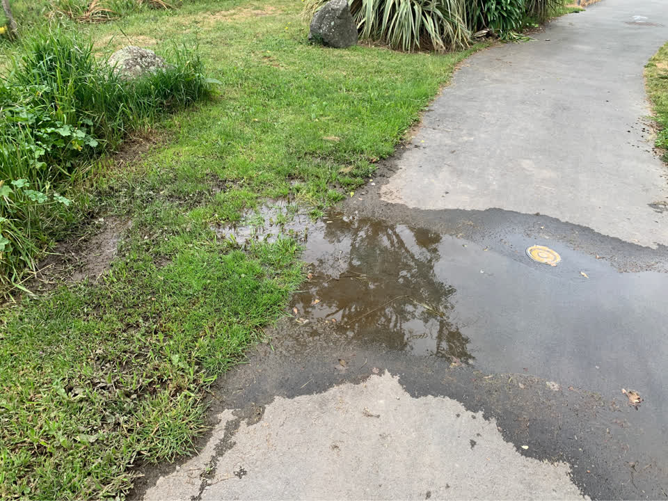The photograph attached to this water leak report
