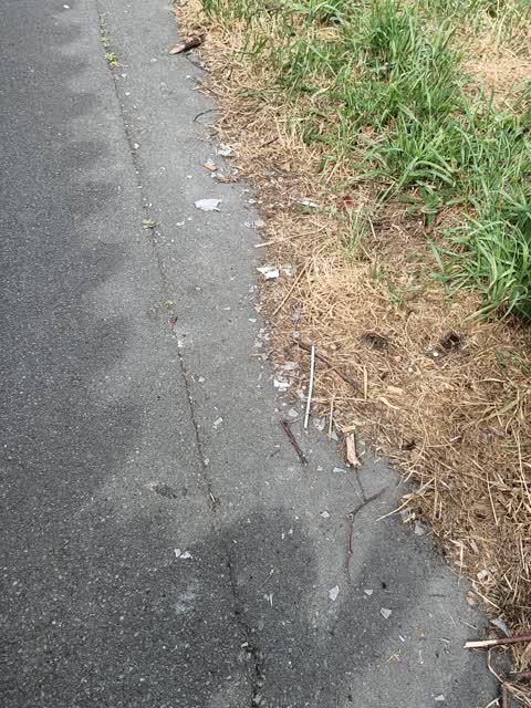 Rubbish/Recycling, a report photo