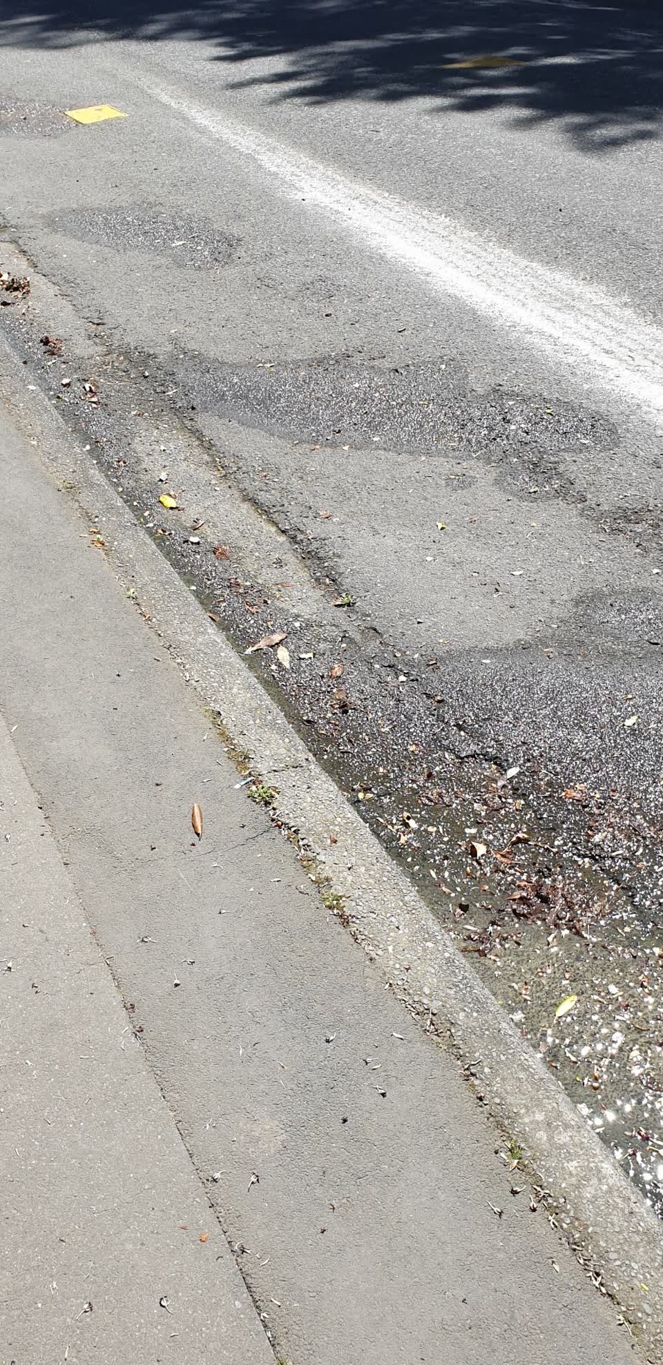 The photograph attached to this water leak report