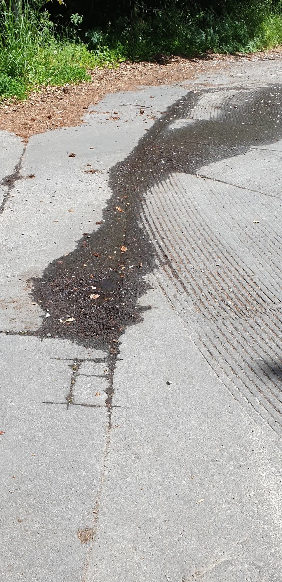 The photograph attached to this water leak report