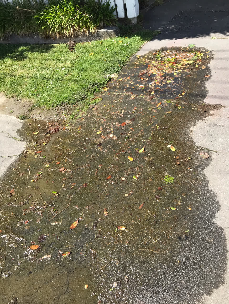The photograph attached to this water leak report