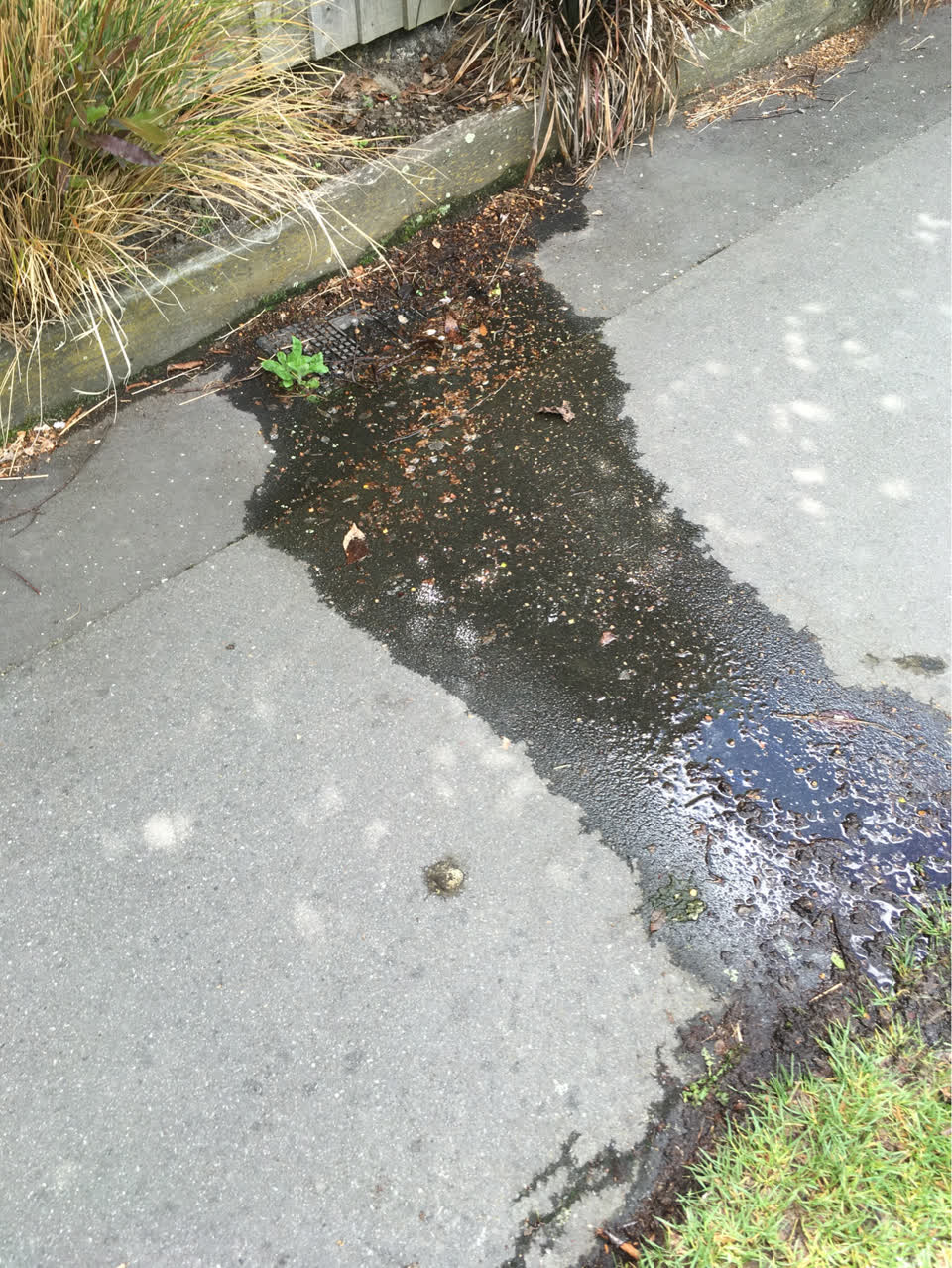 The photograph attached to this water leak report