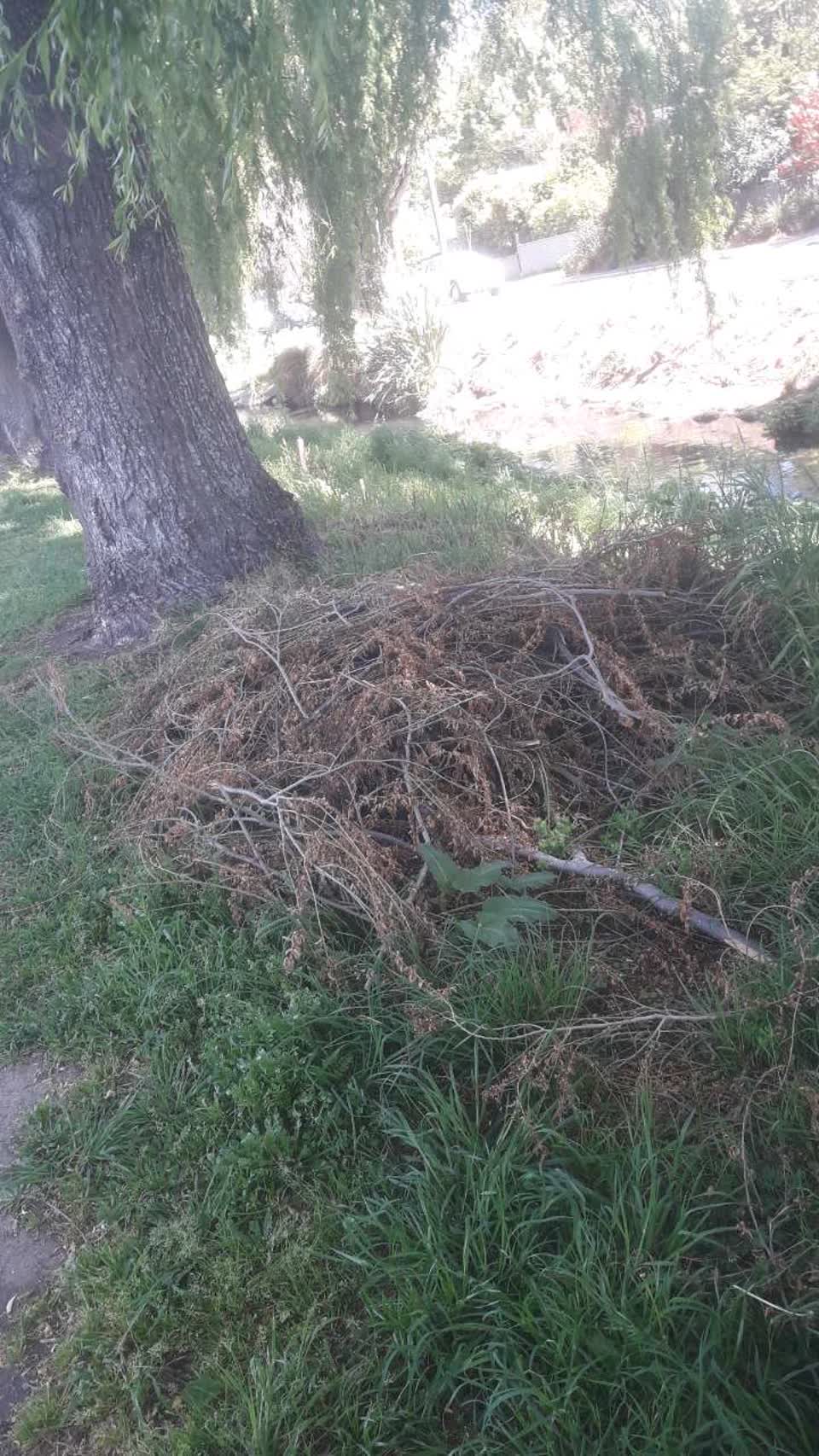 The photograph attached to this parks report
