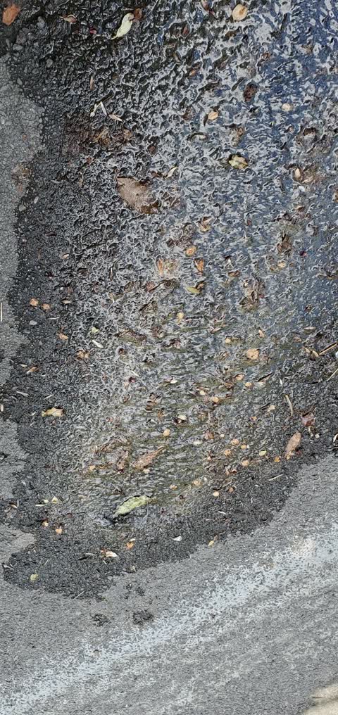 Water Leak, a report photo