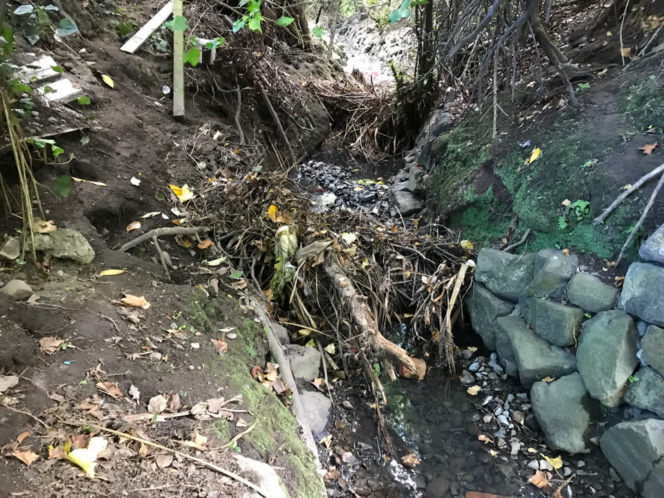 The photograph attached to this wastewater/stormwater report