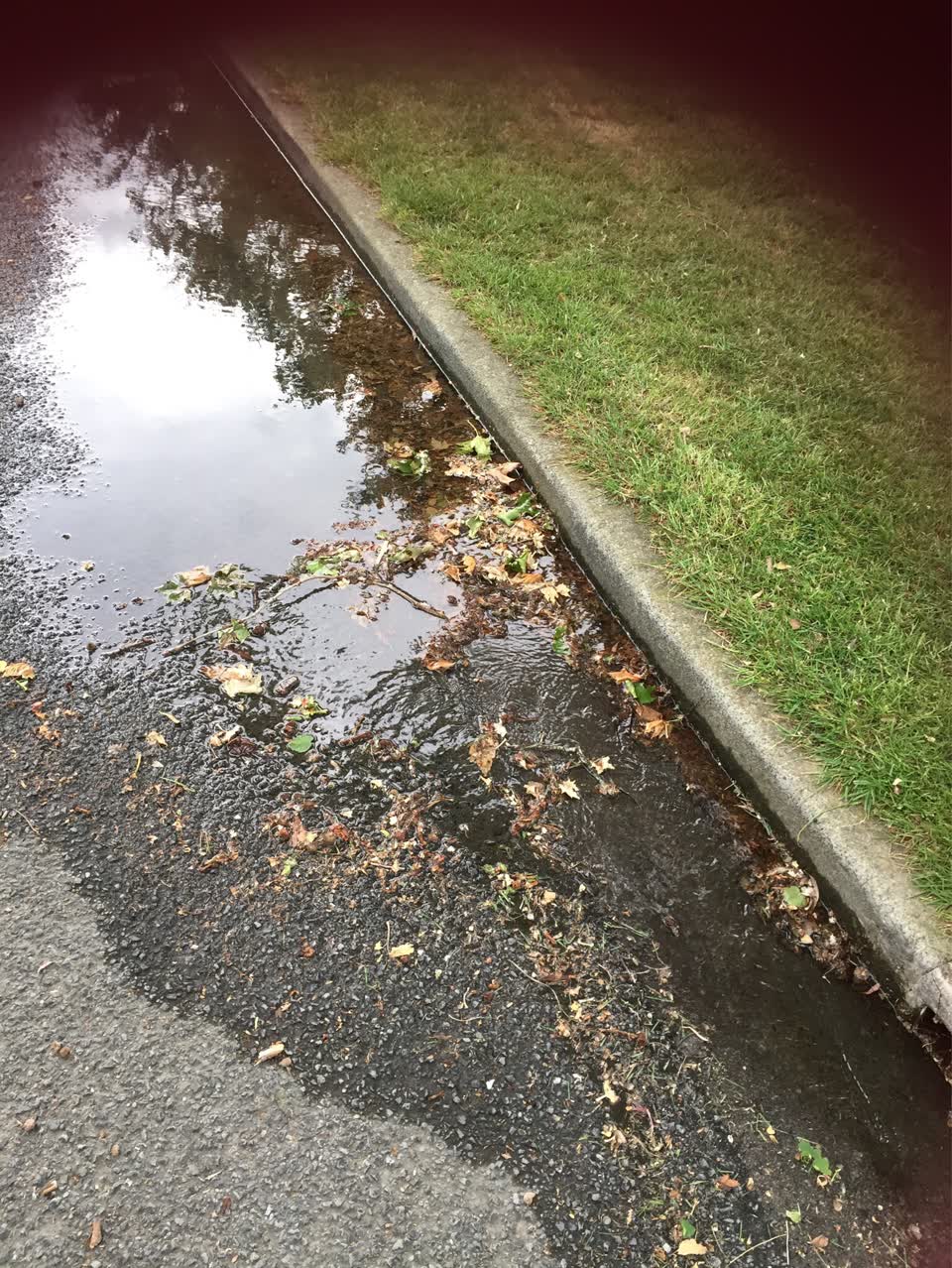 The photograph attached to this water leak report