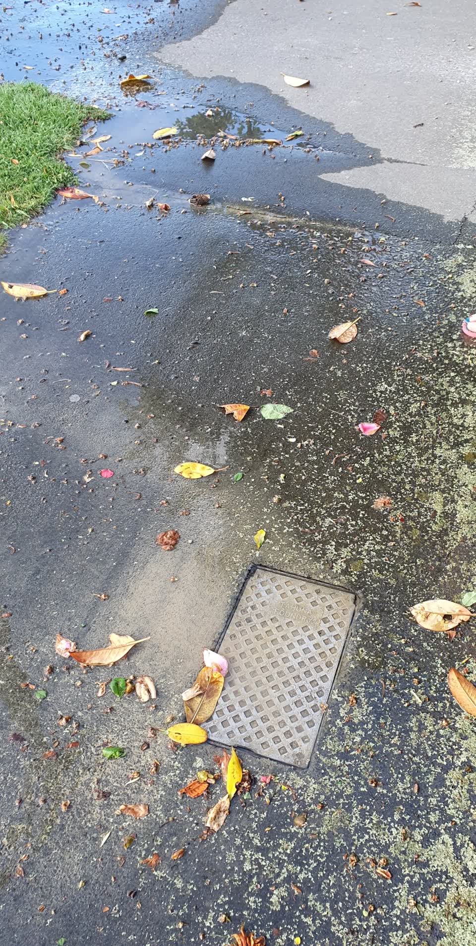 The photograph attached to this water leak report
