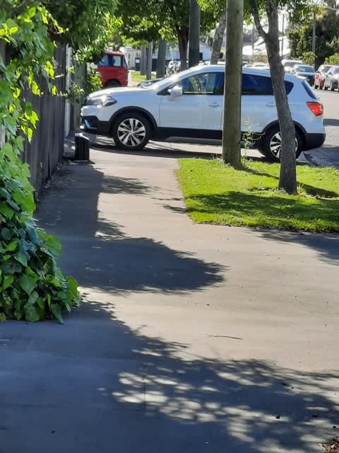 Roading/Streets, a report photo