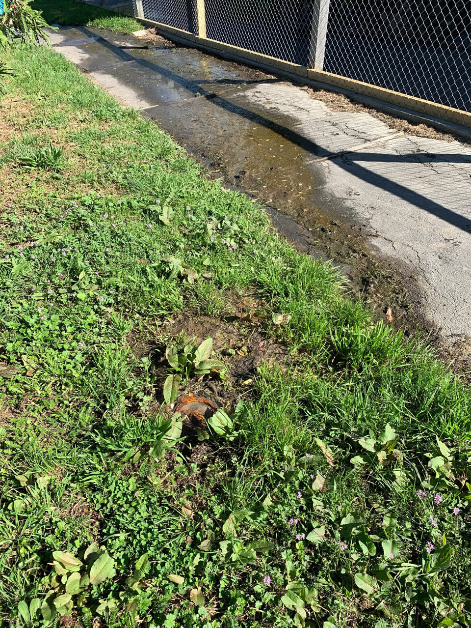 The photograph attached to this water leak report