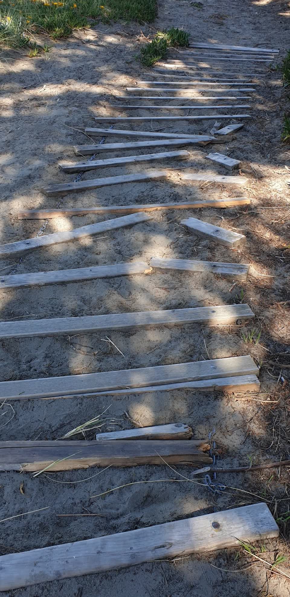 The photograph attached to this parks report