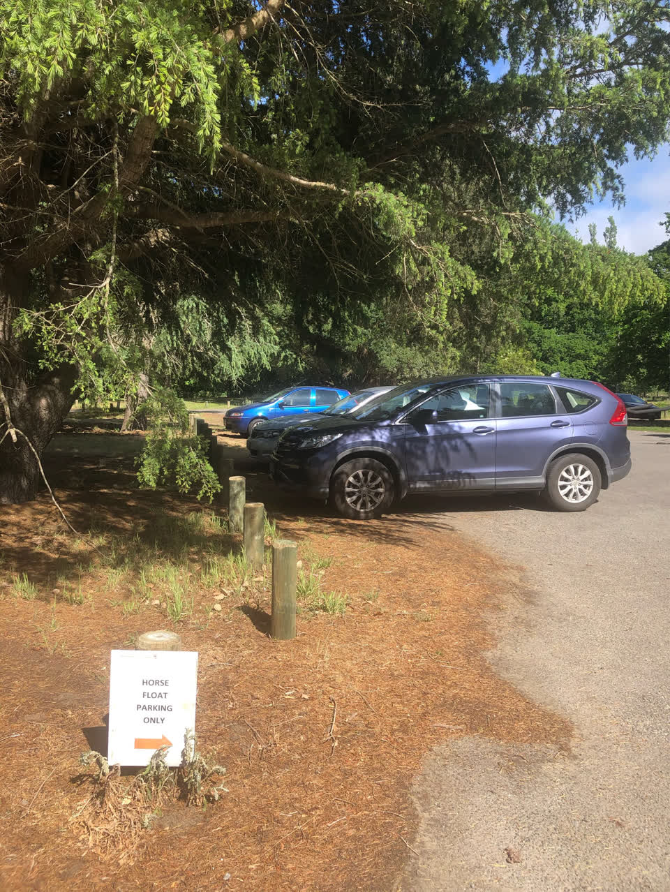 The photograph attached to this parks report