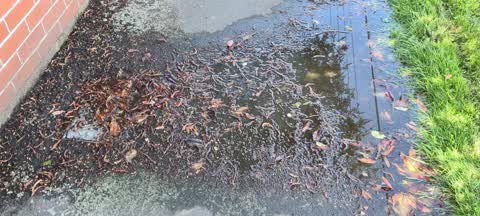 Water Leak, a report photo