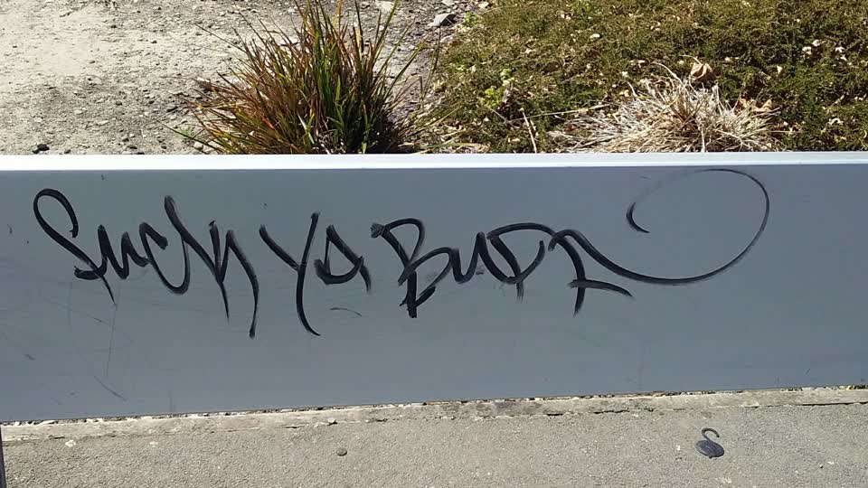 The photograph attached to this graffiti report