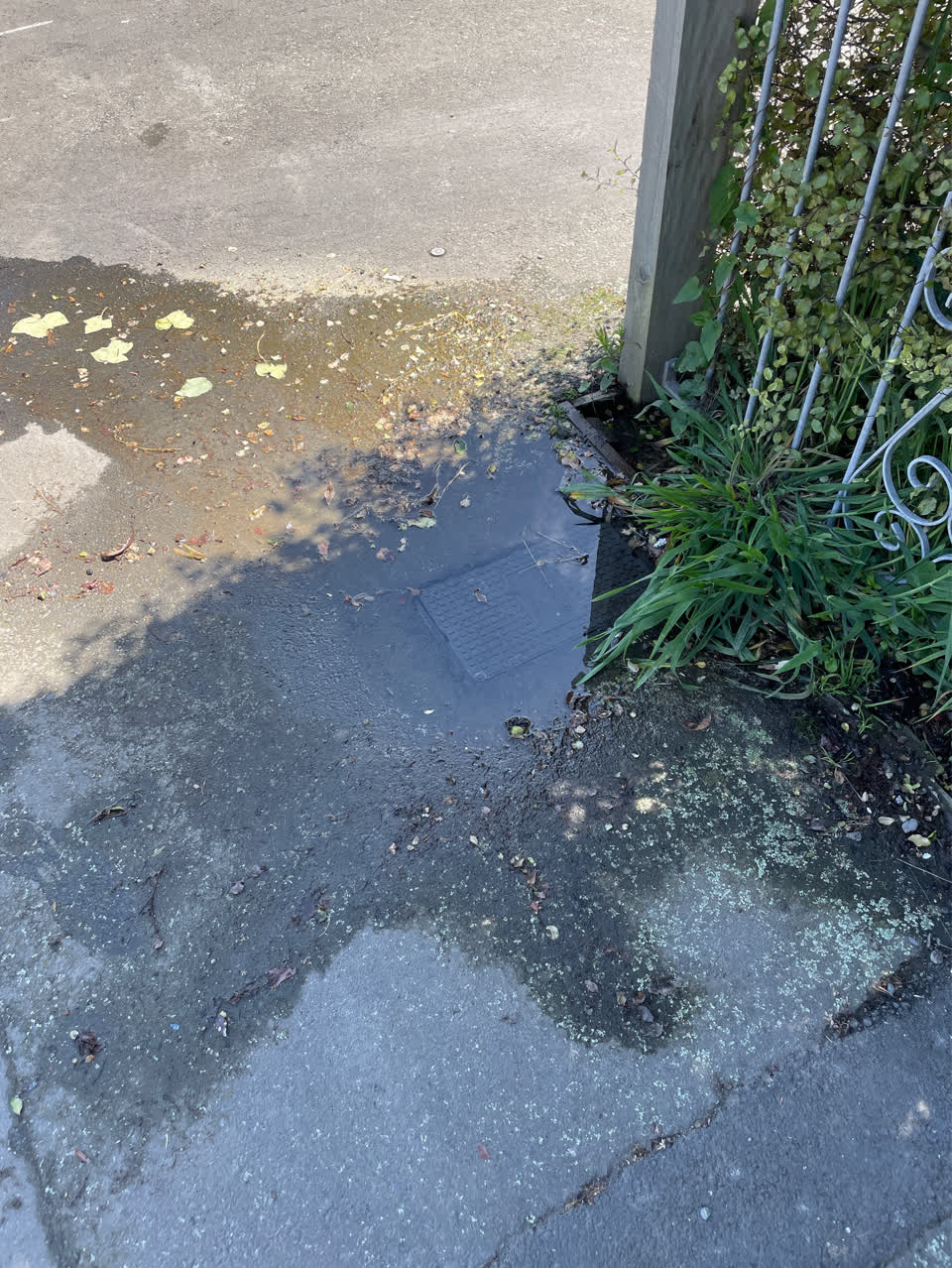 The photograph attached to this water leak report