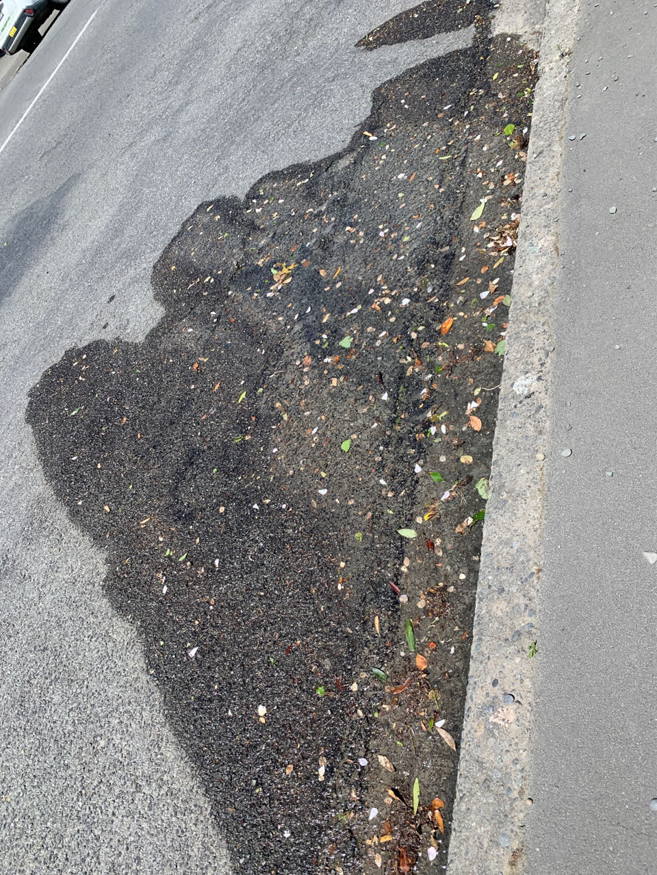 The photograph attached to this water leak report