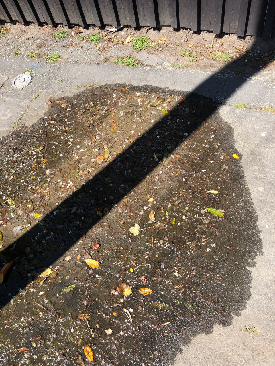The photograph attached to this sewer - leak / blockage report