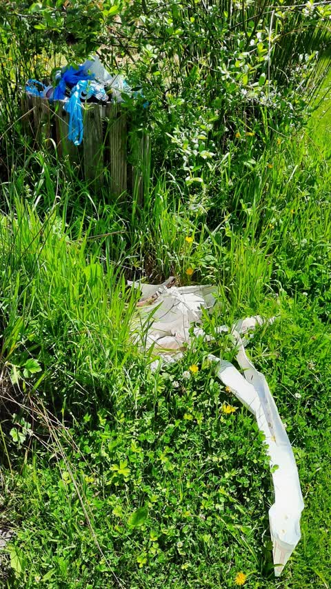Rubbish/Recycling, a report photo