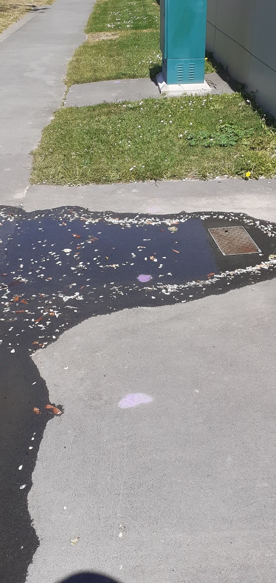 The photograph attached to this water leak report