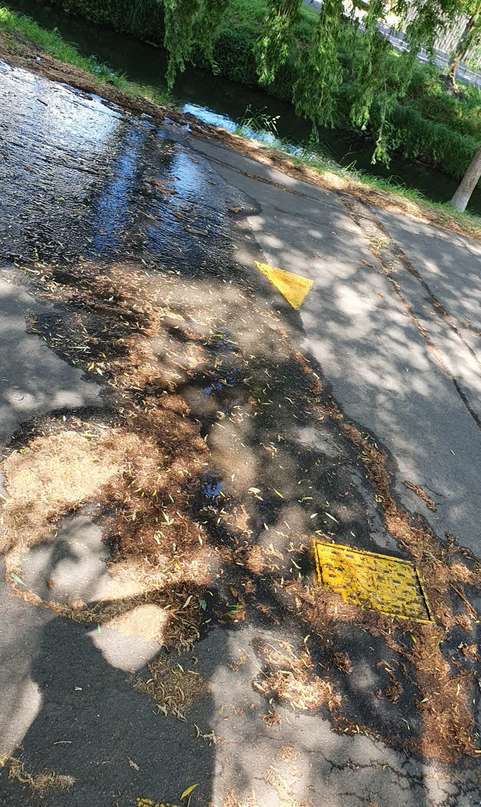 The photograph attached to this water leak report