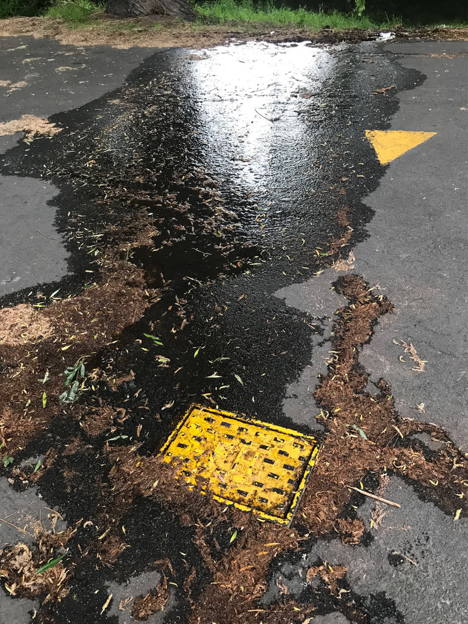 The photograph attached to this water leak report