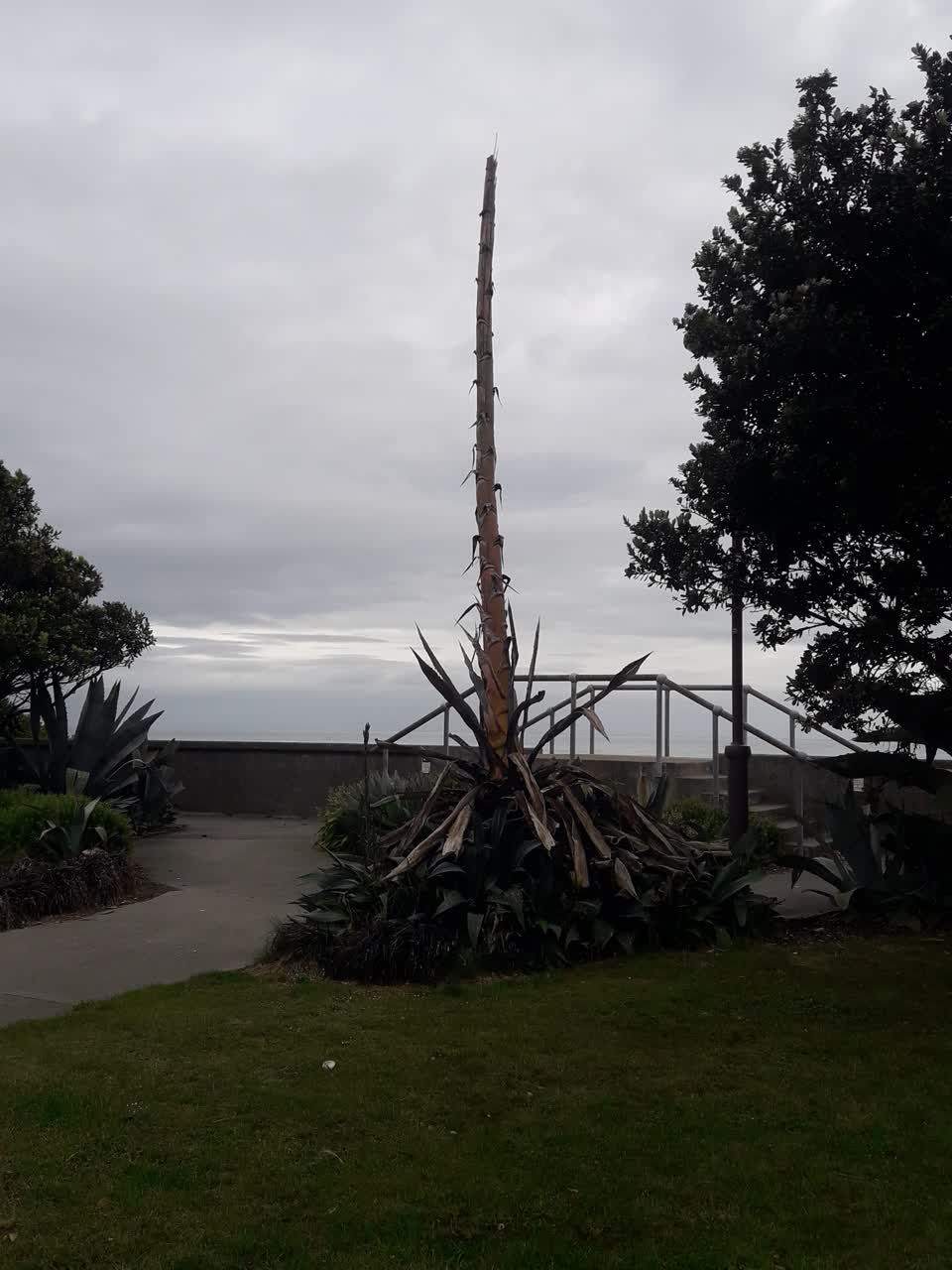 The photograph attached to this parks report