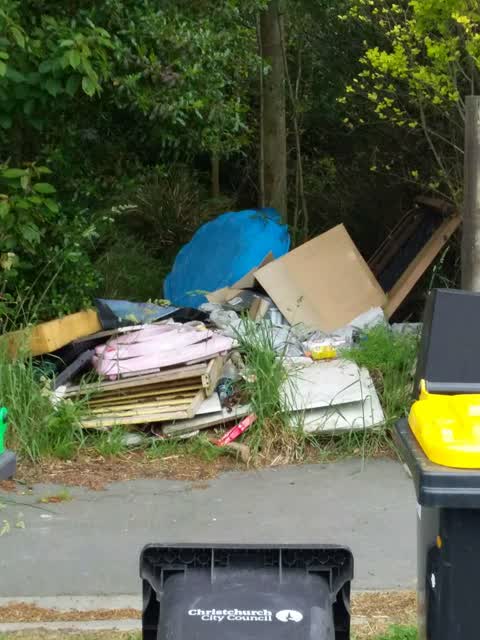 Rubbish/Recycling — a report photo