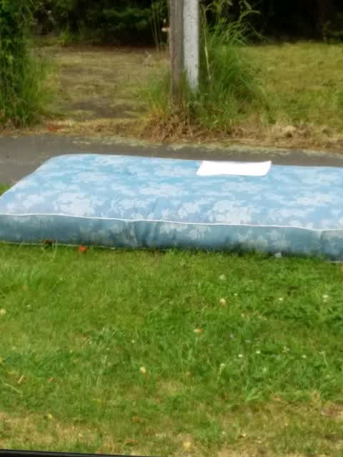 Rubbish/Recycling — a report photo