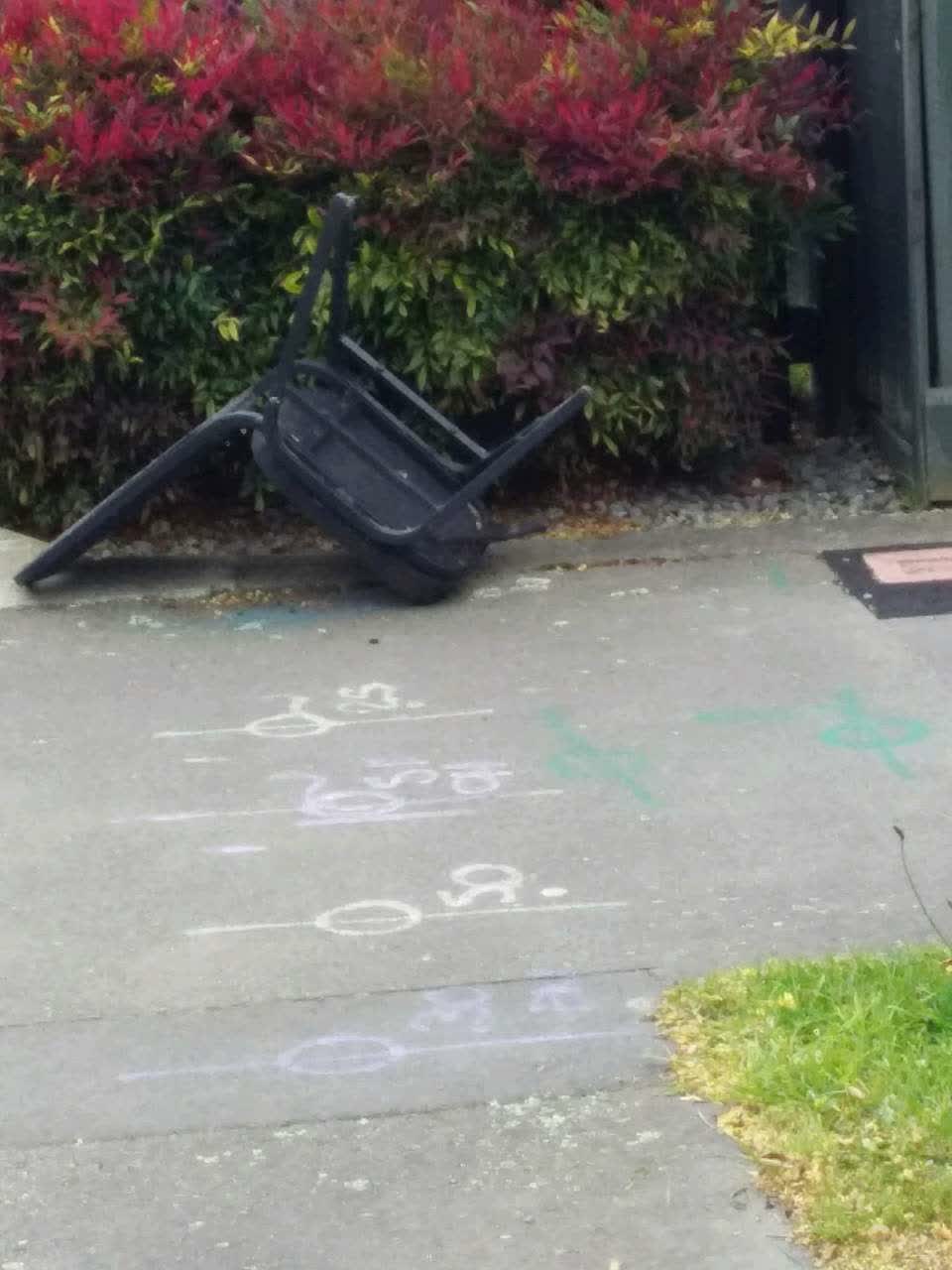 The photograph attached to this rubbish/recycling report