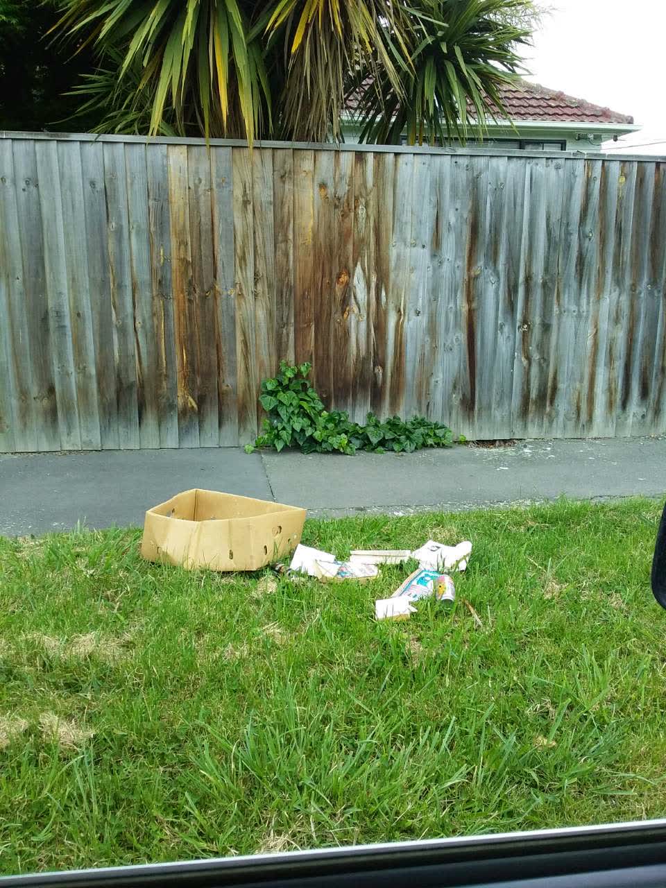 The photograph attached to this rubbish/recycling report