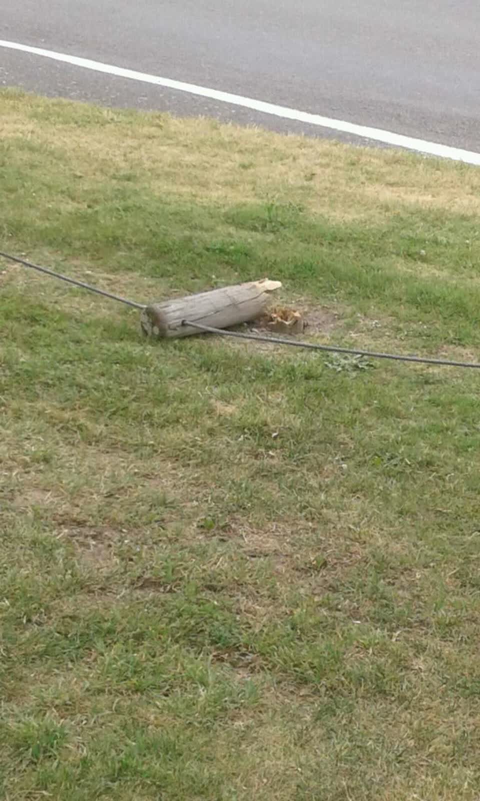 The photograph attached to this parks report