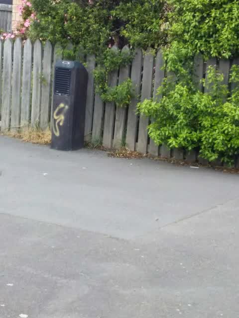 Graffiti, a report photo