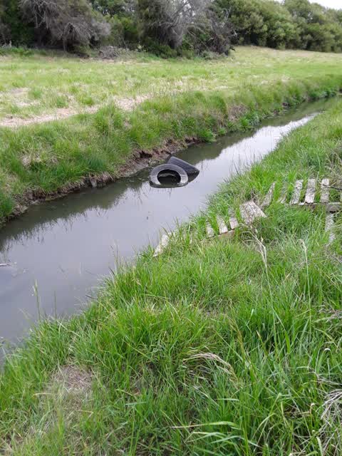 Rubbish/Recycling — a report photo