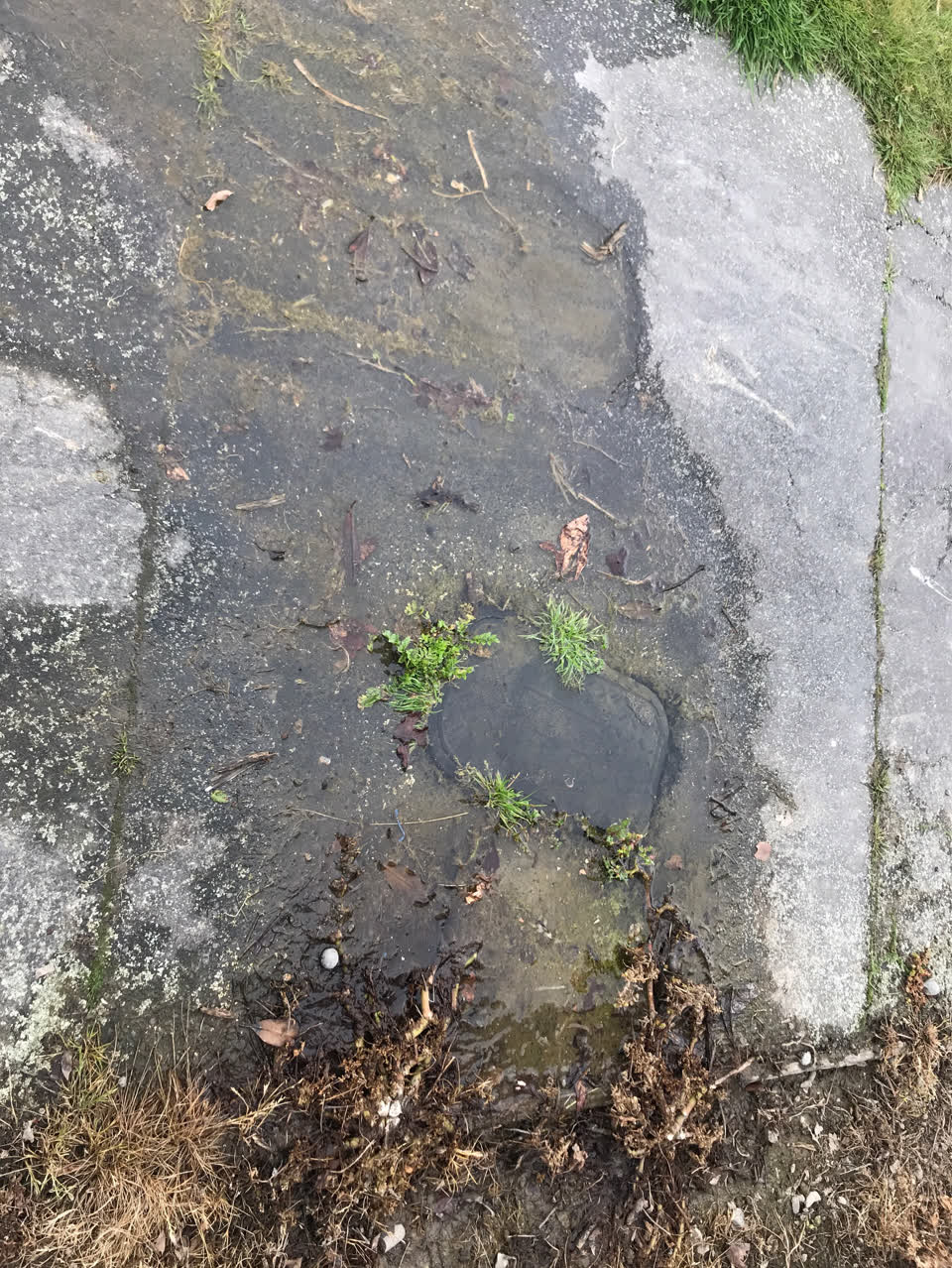The photograph attached to this water leak report