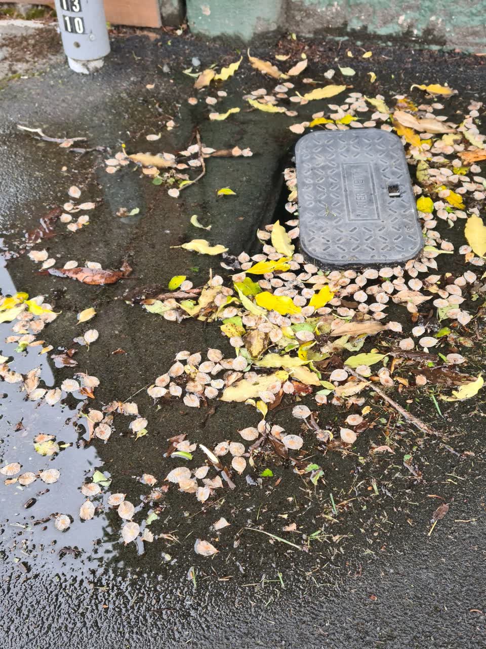The photograph attached to this water leak report